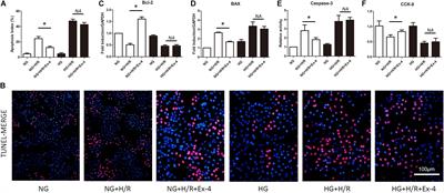 High Glucose Attenuates Cardioprotective Effects of Glucagon-Like Peptide-1 Through Induction of Mitochondria Dysfunction via Inhibition of β-Arrestin-Signaling